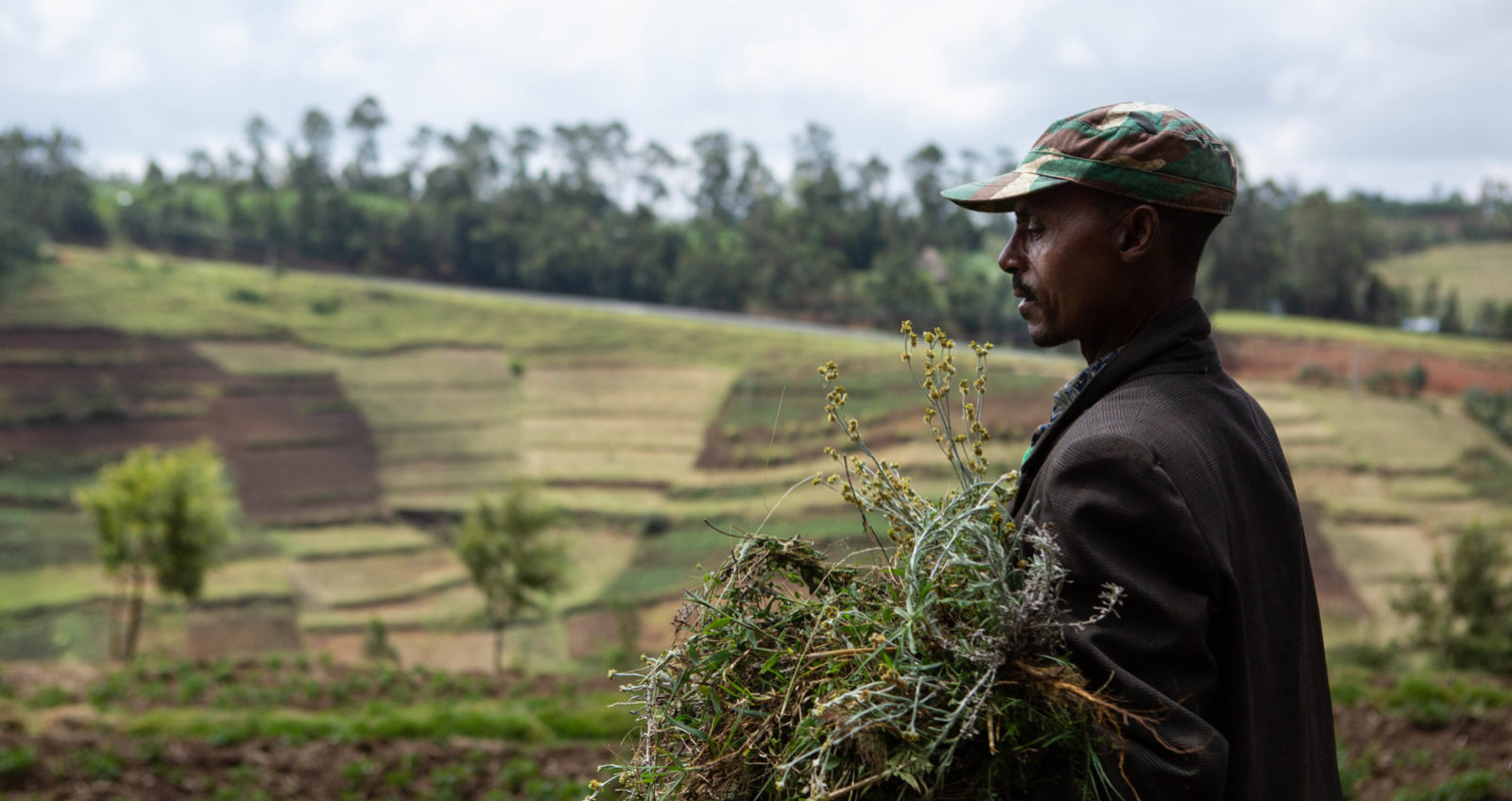 Man carrying brush with farm land on the hill in the background